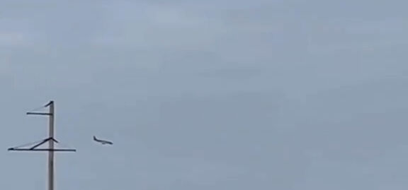 Kazakistan Aktau'da yolcu uçağı düştü! Dünyanın gözü facia noktasında - 1. Resim