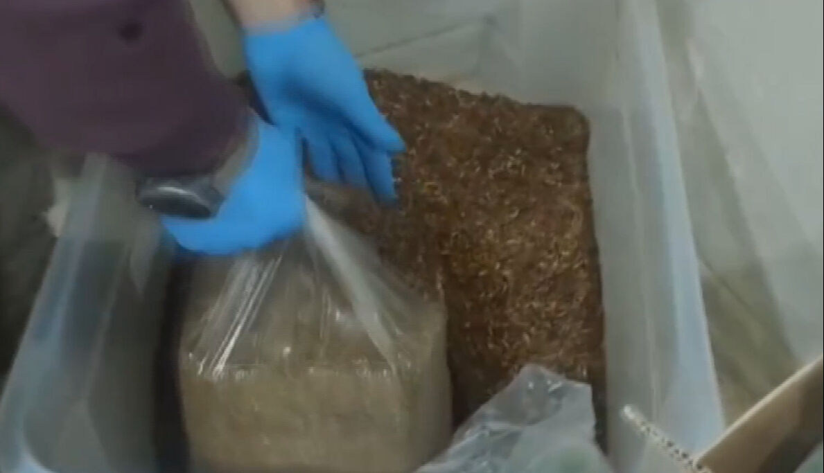 Sahte alkol ölümleri sonrasında dev operasyon! Jandarmadan Ankara'da temizlik - 1. Resim