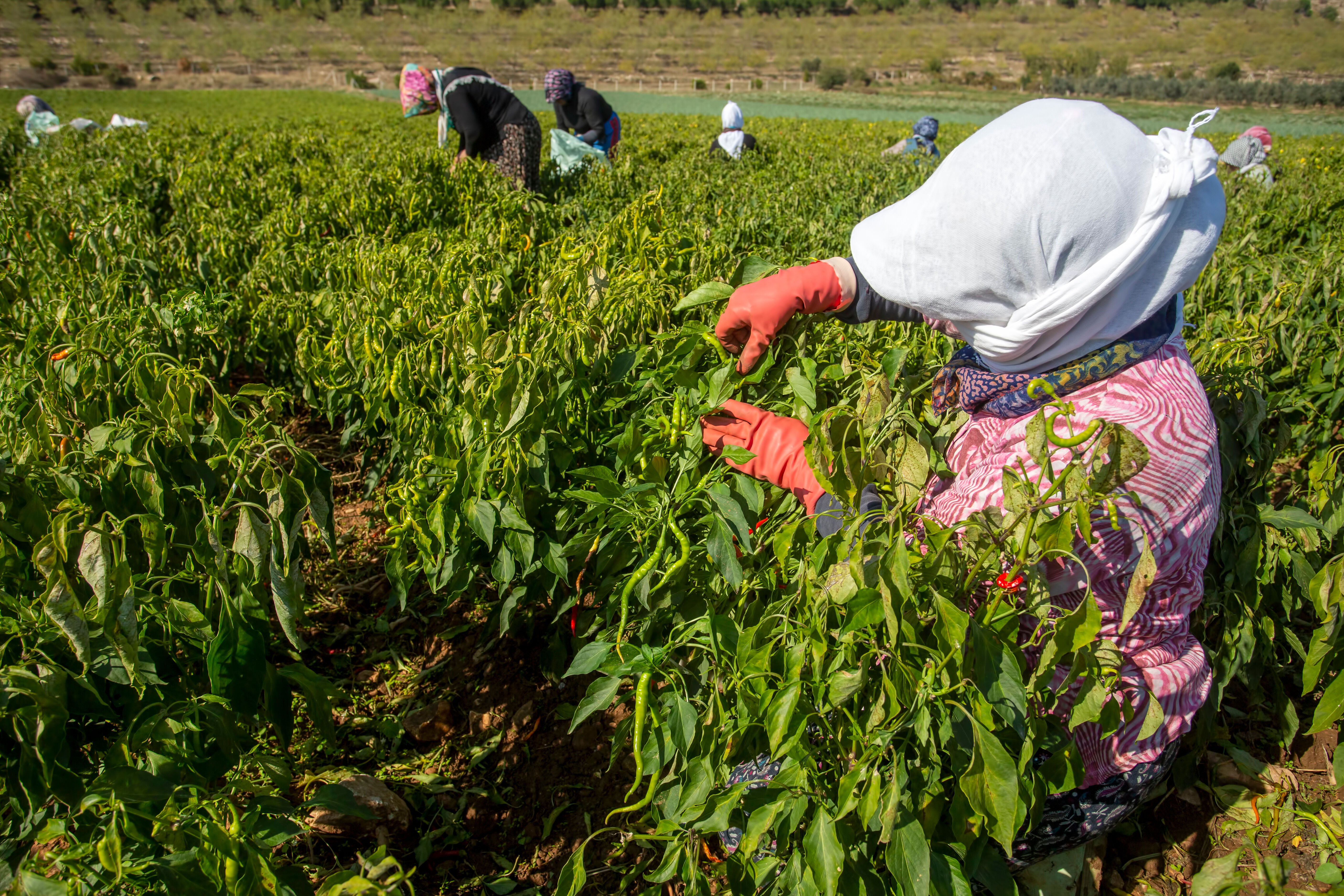 Tekstilciyi Suriye'ye göç korkusu sardı! Sektörde tehlike çanları çalıyor - 2. Resim