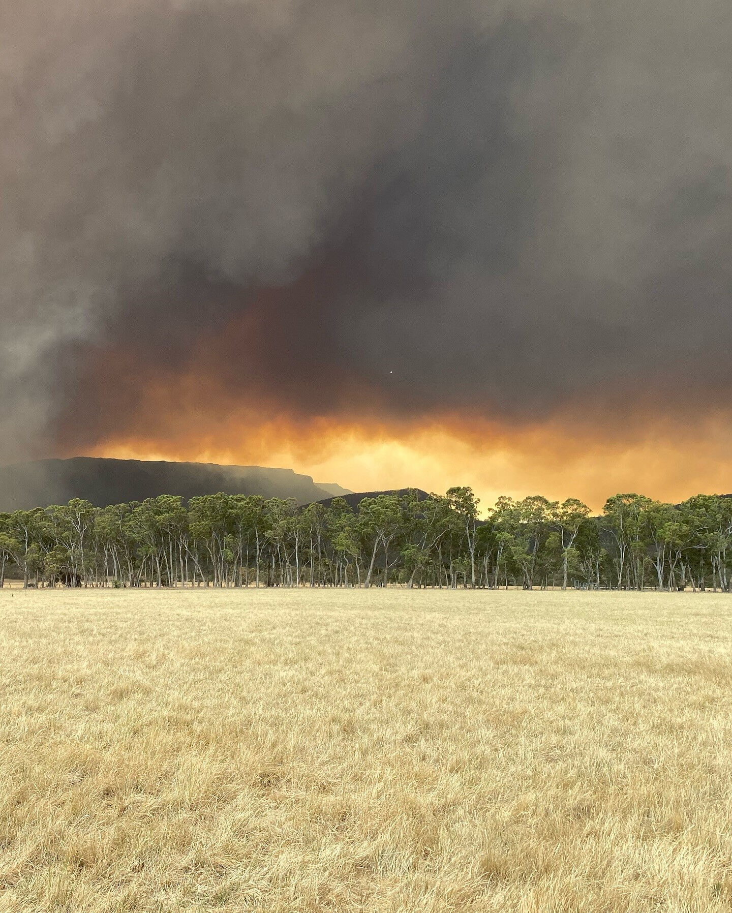 Avustralya felaketi yaşıyor! 70 bin hektar yanarak küle döndü - 1. Resim