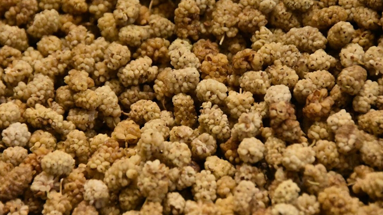 Bunu yiyenin vücuduna hastalık uğramıyor! Ateşi ve tansiyonu düşürüyor, ağız kokusunu önlüyor - 2. Resim