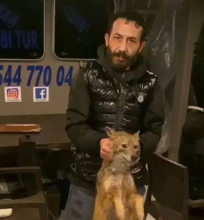 İstanbul Boğazı'nda bu da oldu! Balık tutarken tilki yakaladılar - 1. Resim