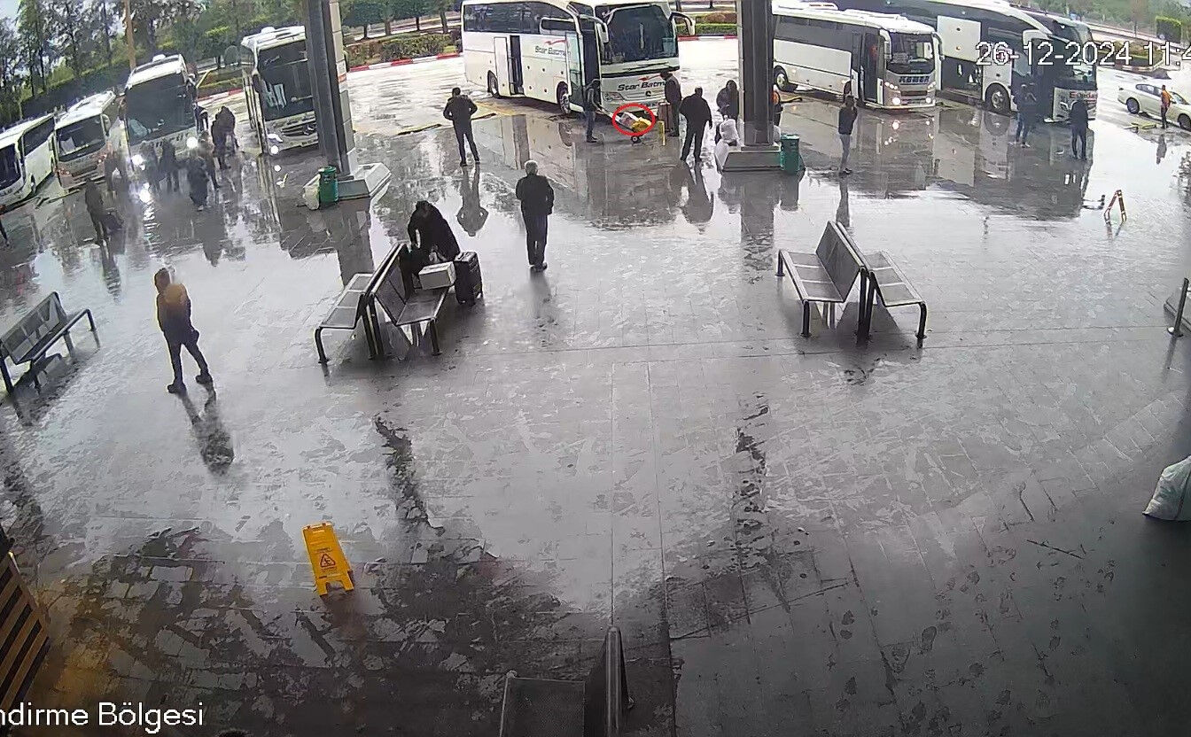 Otogara bırakılan kutudan maymun çıktı! Görenler hayrete düştü - 2. Resim