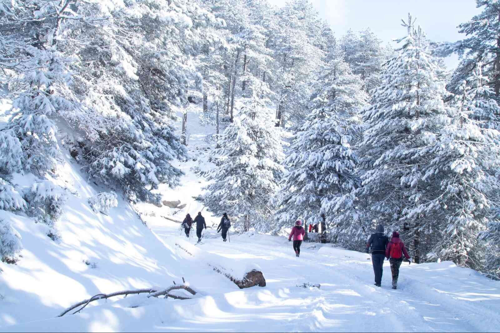 Türkiye kışın tatil yapılacak yerler! Kış tatili için en iyi seyahat rotaları - 6. Resim