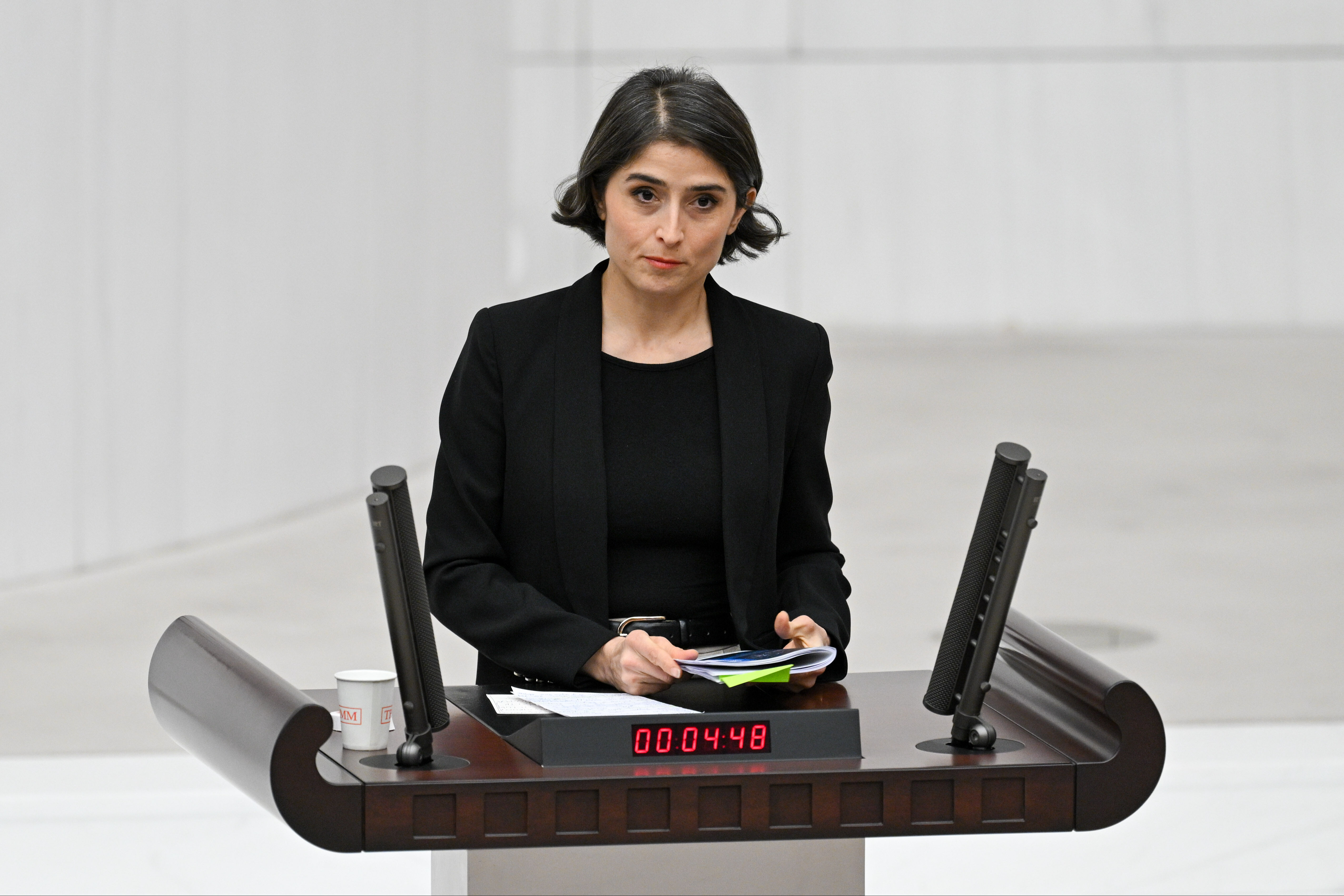 DEM'li Ceylan Akça'dan skandal sözler! Sayıştay rakamları cevap niteliği taşıyor... - 1. Resim