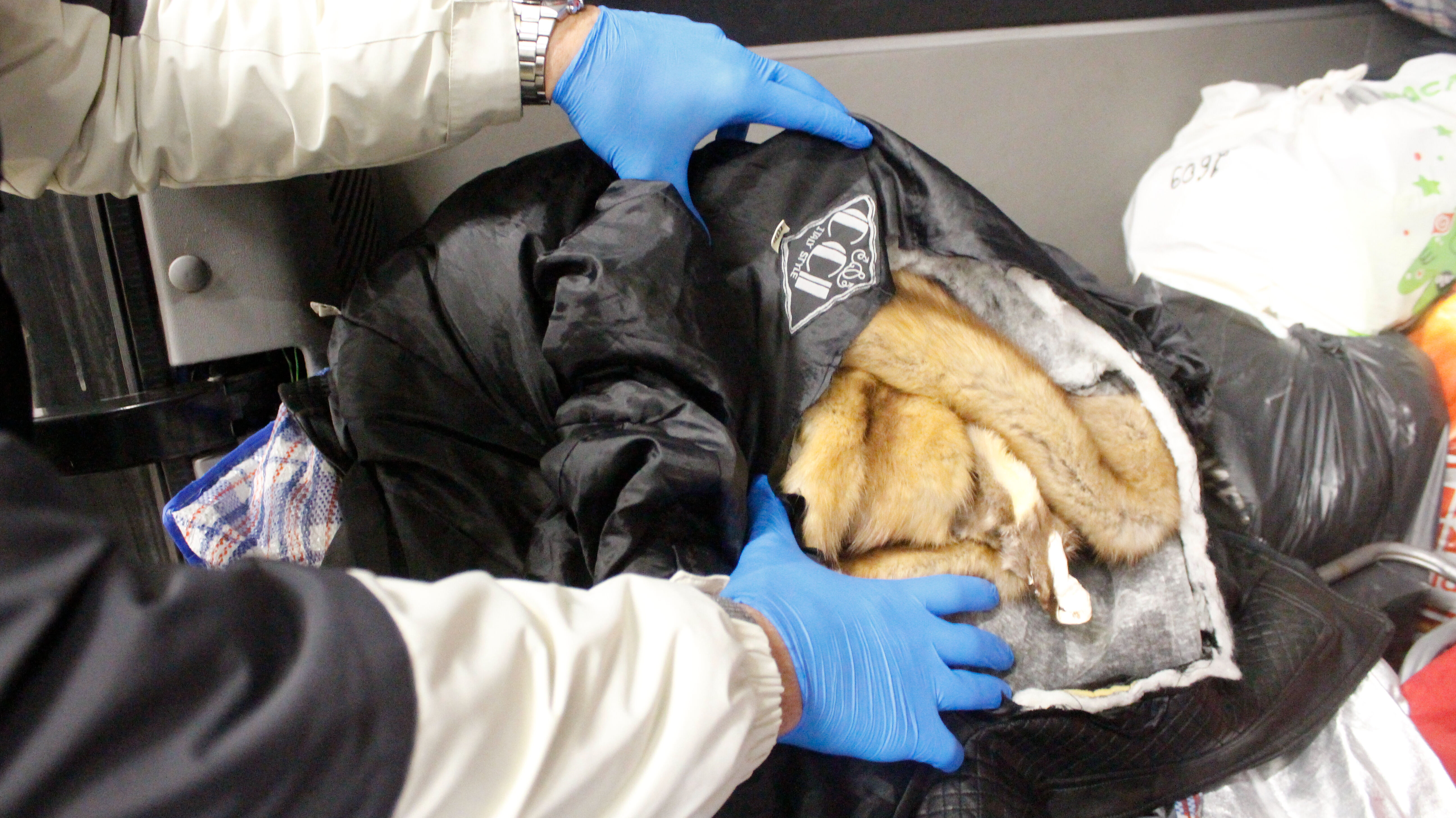 Sınırda iki ayrı operasyon! 155 samur postu ele geçirildi - 1. Resim