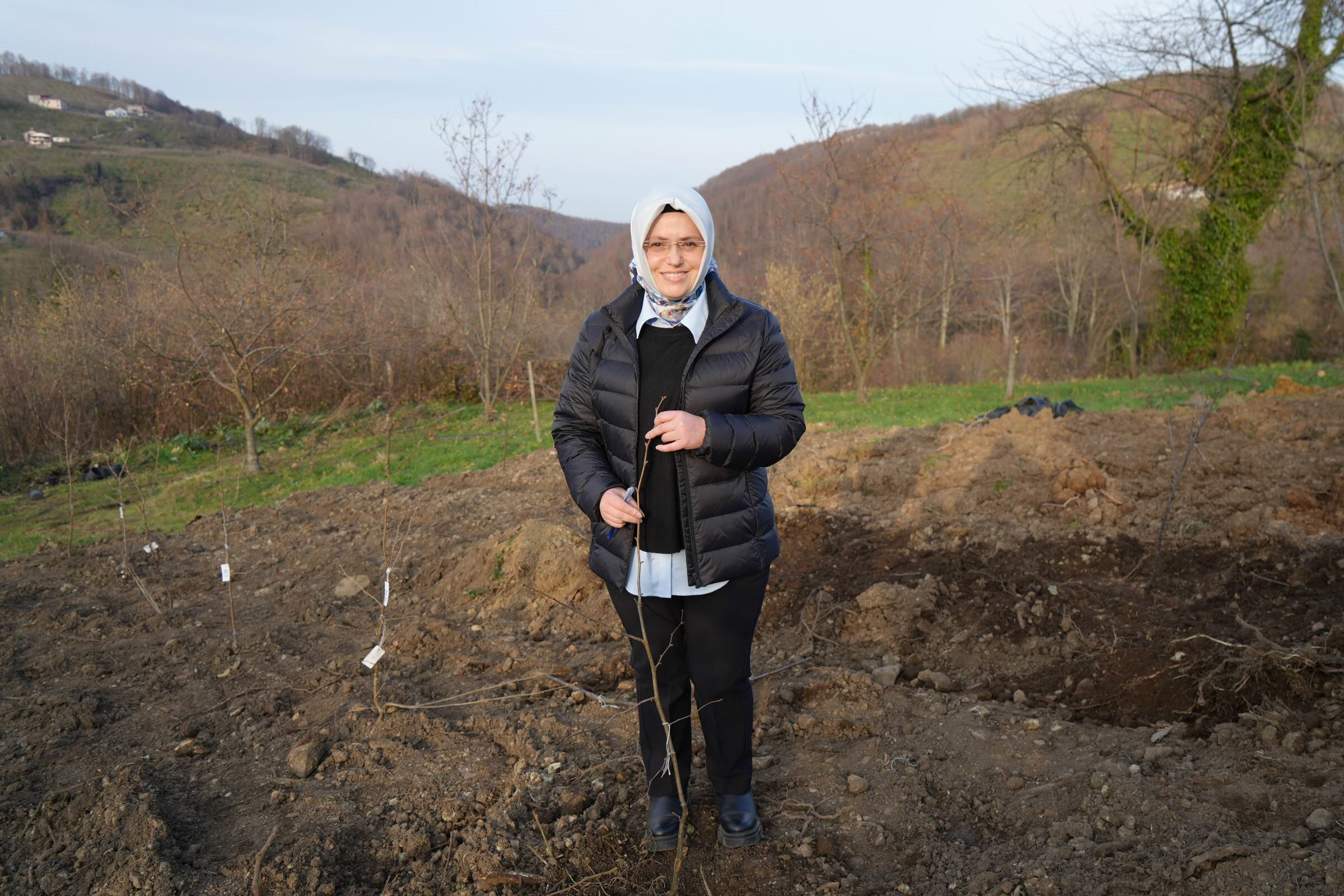 Doktora öğrencisi buldu! Fındık üreticisinin en büyük derdi tarih oluyor - 3. Resim
