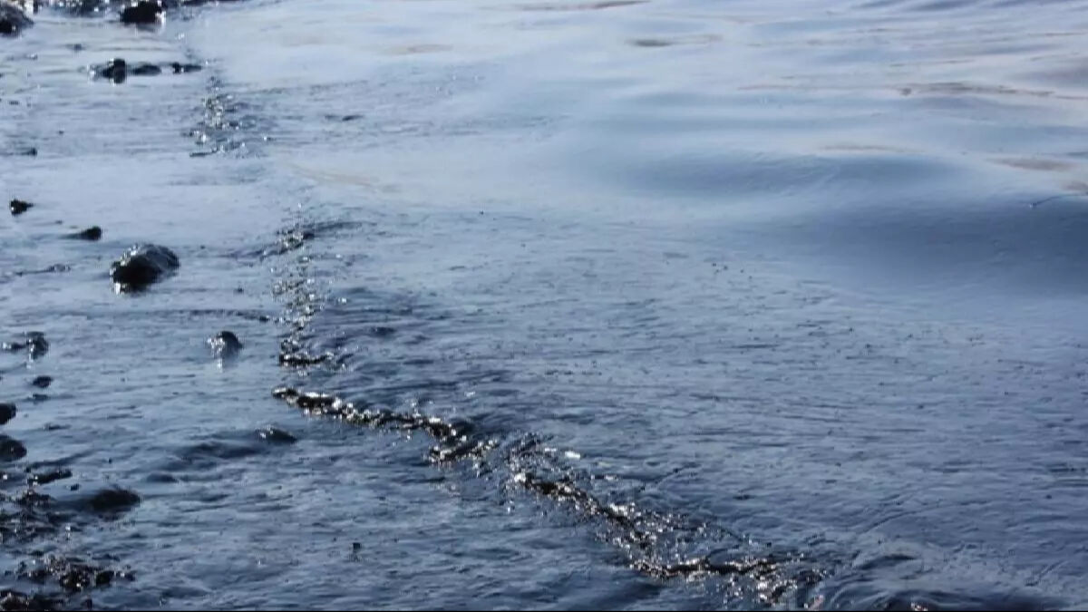 Karadeniz'de kırmızı alarm! Rusya uyardı: Büyük bir petrol sızıntısı meydana geldi - 1. Resim