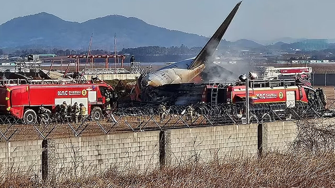 Güney Kore'de inişe geçen yolcu uçağı duvara çarptı! Çok sayıda ölü ve yaralı var - 3. Resim