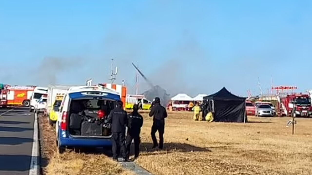 Güney Kore'de inişe geçen yolcu uçağı duvara çarptı! Çok sayıda ölü ve yaralı var - 6. Resim