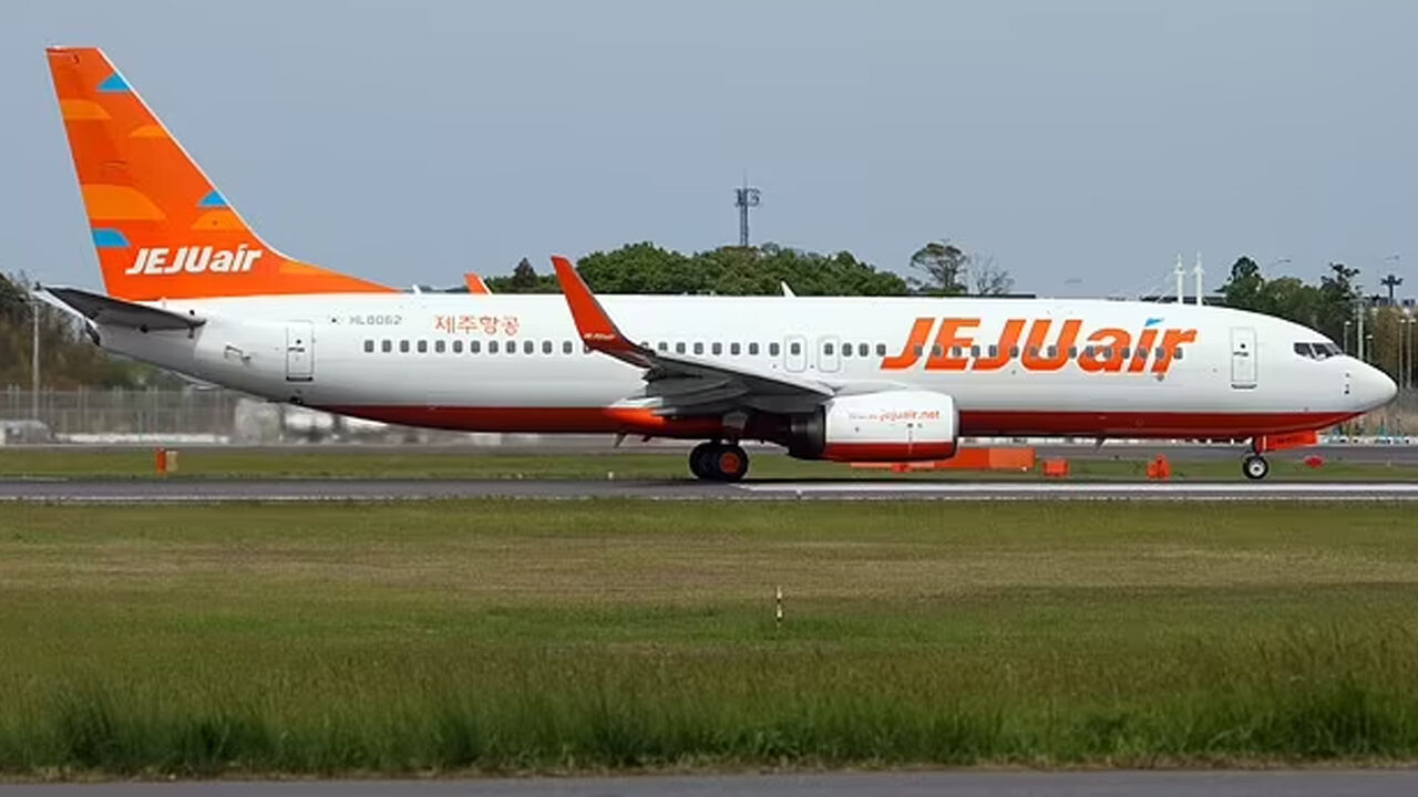 Güney Kore'de inişe geçen yolcu uçağı duvara çarptı! Çok sayıda ölü ve yaralı var - 3. Resim