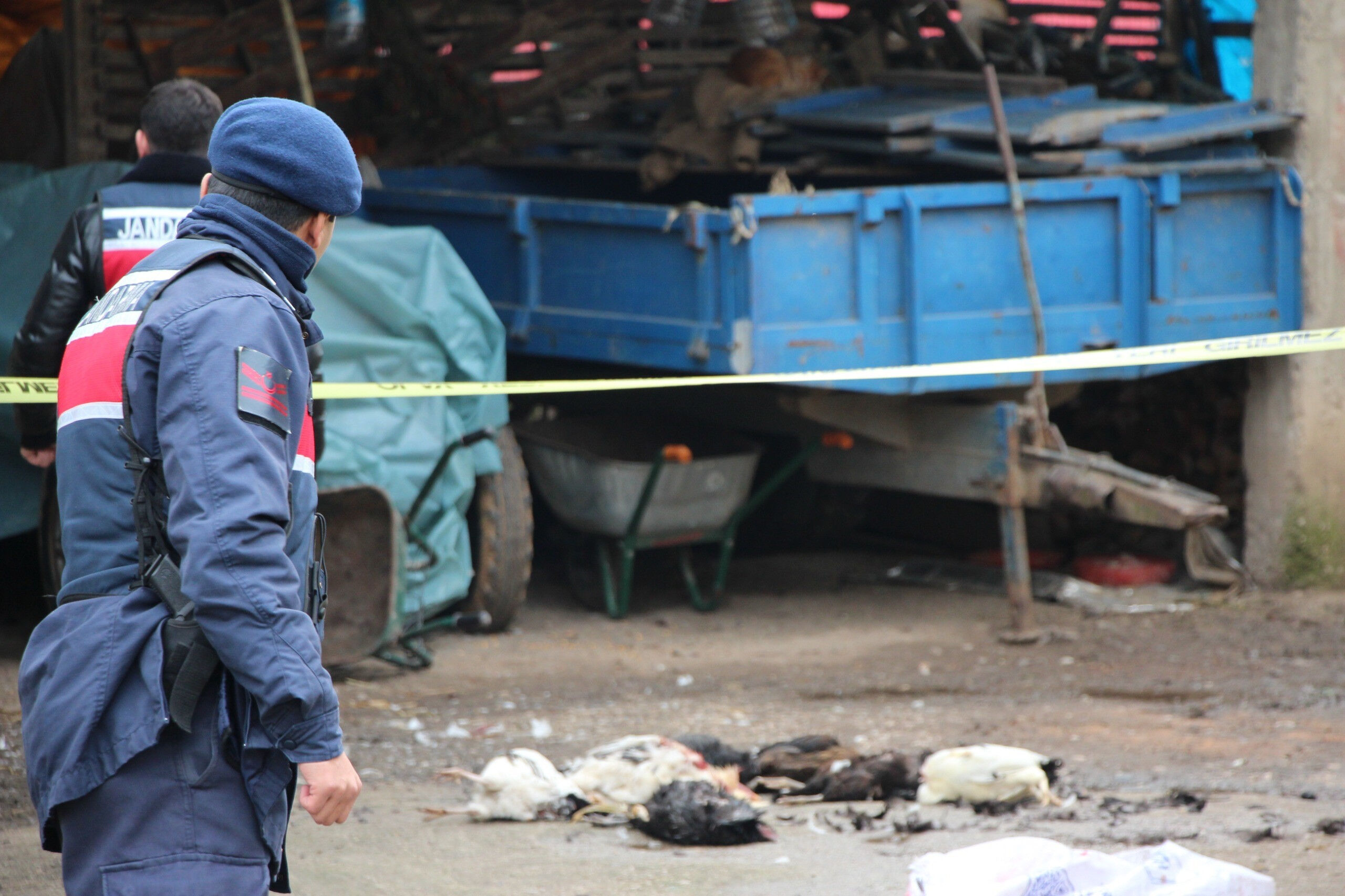 Horozları komşuya verilince dehşet saçtı! Tüfeğiyle önüne geleni vurdu Horozları komşuya verilince dehşet saçtı! Tüfeğiyle önüne geleni vurdu - 2. Resim