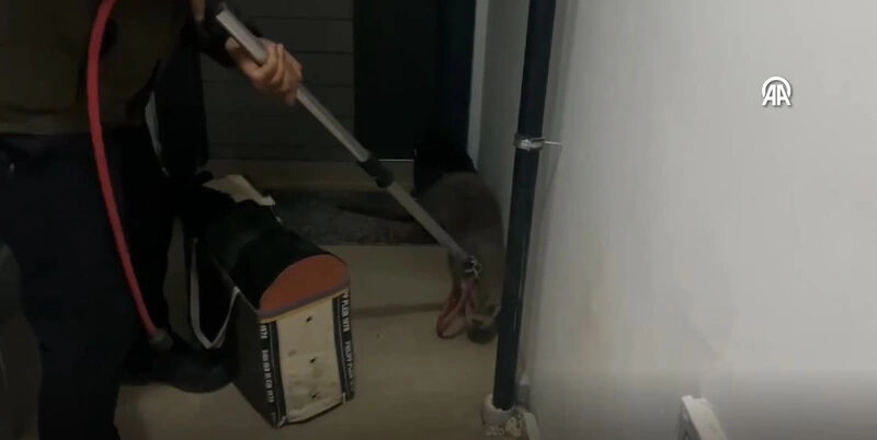 Sivas'ta bir apartmanın evinin önünde yatarken bulundu! Görenler dehşete düştü - 2. Resim