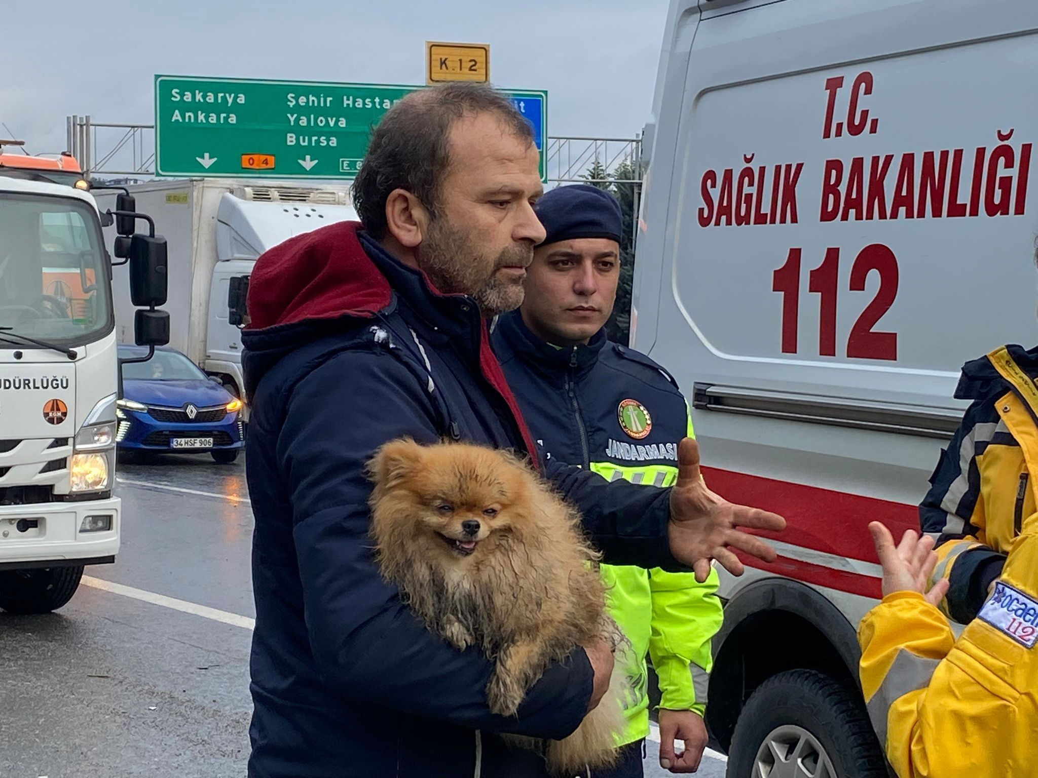 TEM'de kaza sonrası duygulandıran görüntüler: Köpeğini bir an olsun bırakmadı - 1. Resim