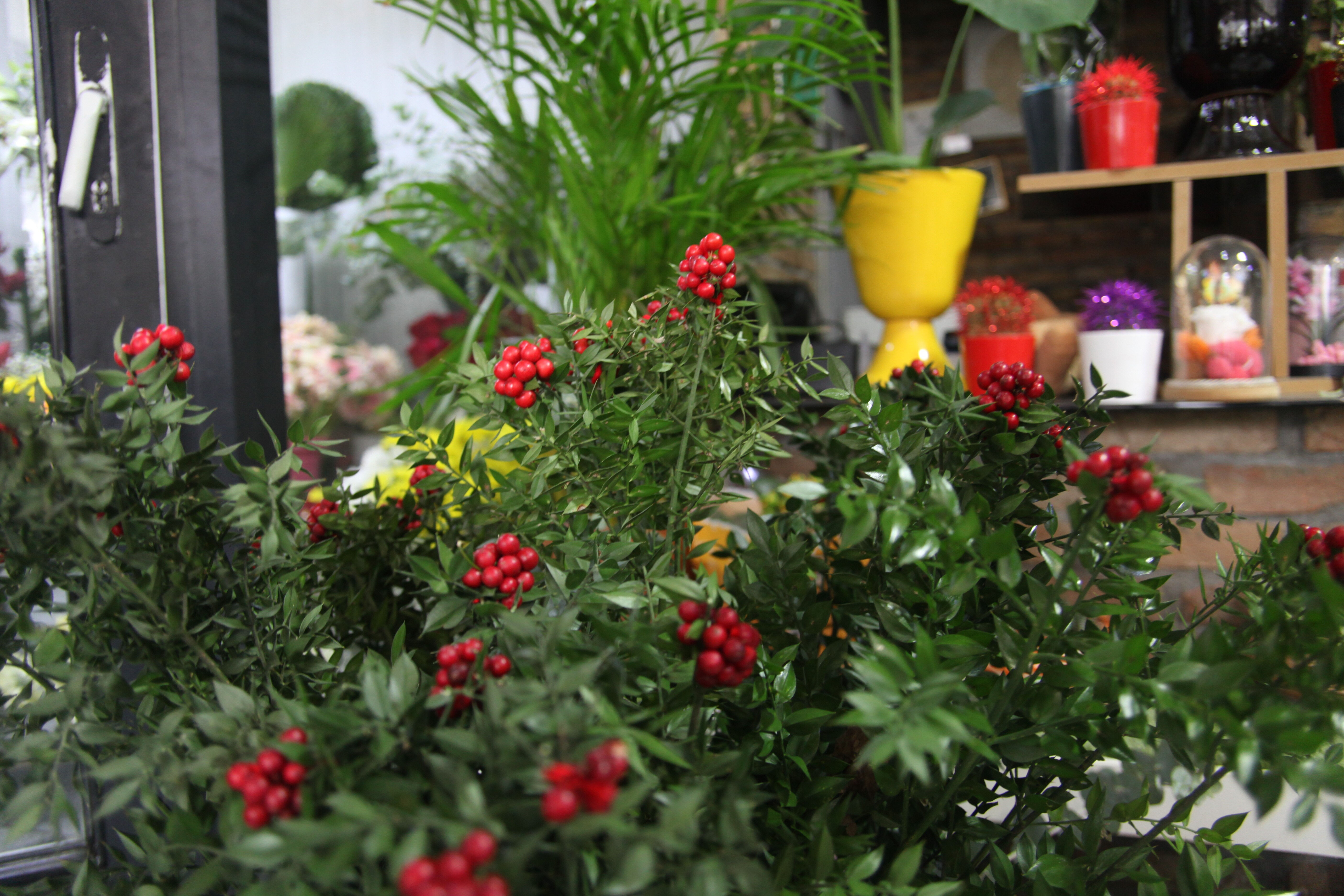 Yılbaşına günler kala satışlar patladı! 350-400 liradan kapış kapış gidiyor - 2. Resim