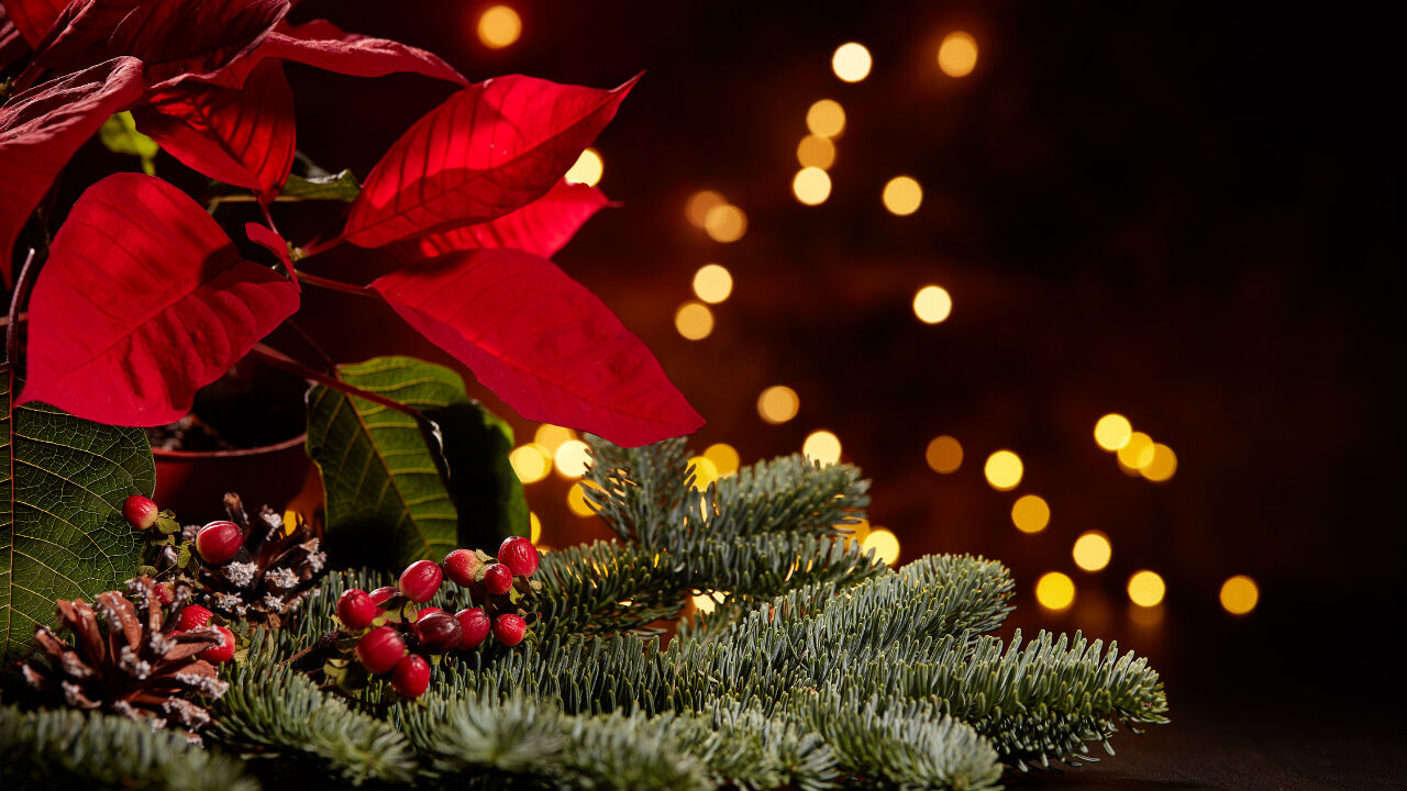 31 Aralık Salı günü öğleden sonra tatil mi? Yılbaşı resmi tatil öncesi okulların yarım gün tatil olup olmayacağı merak konusu! - 4. Resim