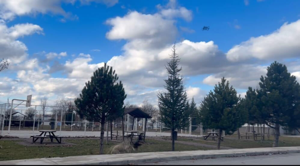 Başıboş köpekler çekim yapan drona saldırdı! Görüntüler şoke etti - 1. Resim