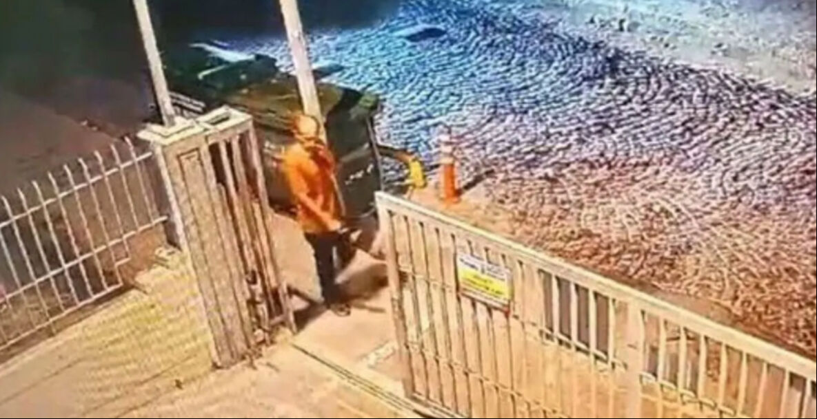 Başıboş köpekler İstanbul'da Ayhan Özçelik'i parçalayarak öldürmüştü! Şoke eden otopsi raporu ortaya çıktı - 5. Resim