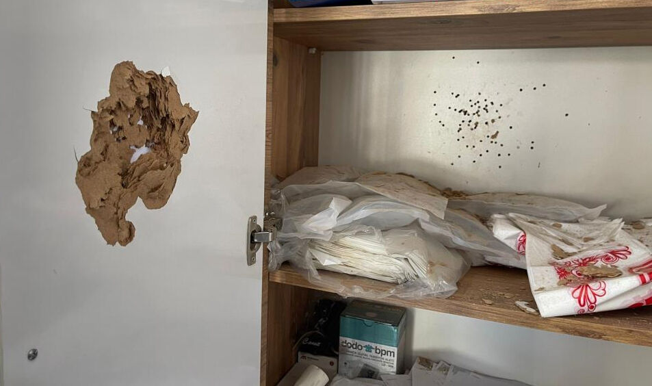 Boşanma aşamasındaki eşinin babası pompalı tüfekle ateş açtı! Antalya'da dehşet - 2. Resim