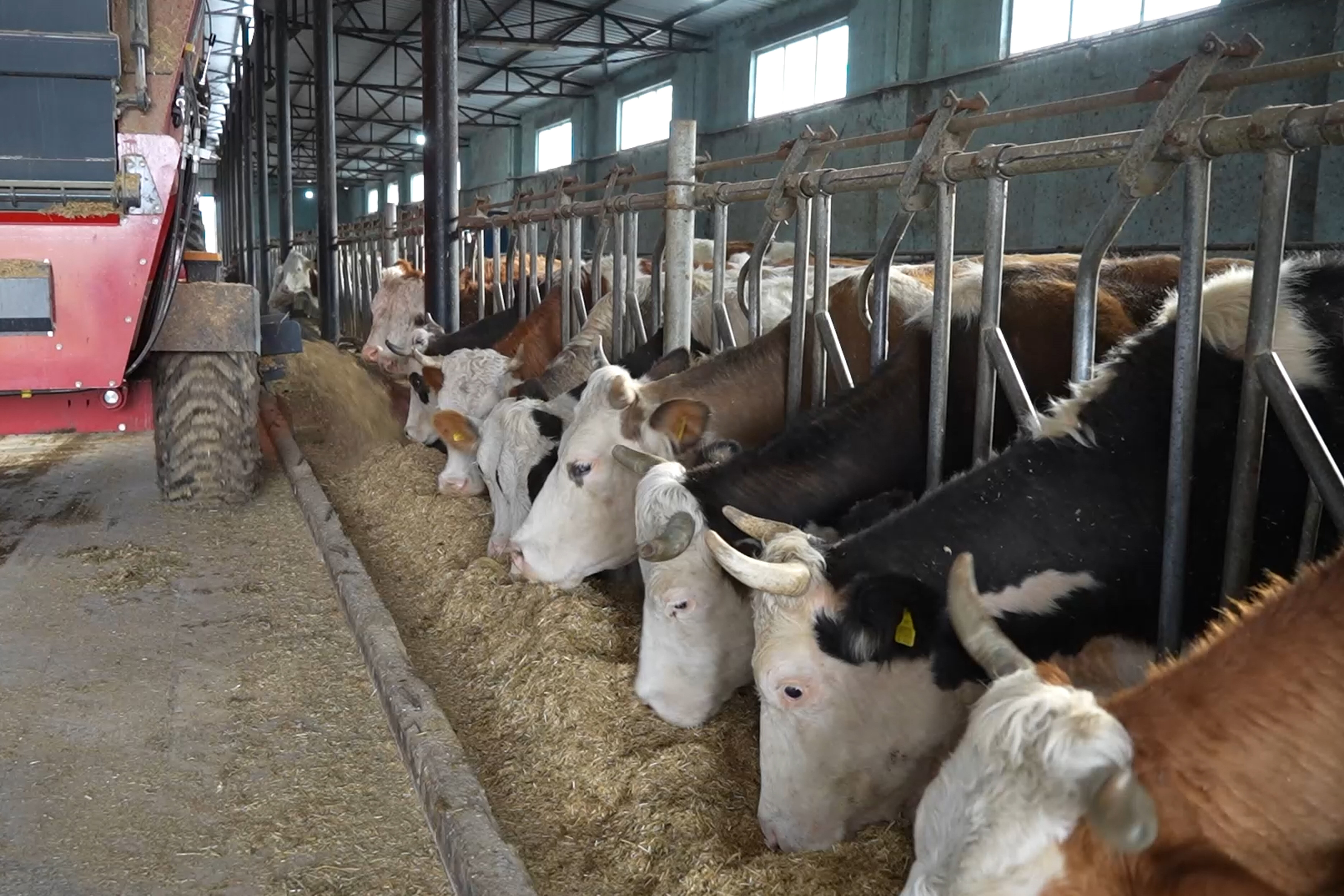 Devletten yüzde 50 hibe desteği aldı, kendi işinin patronu oldu: Şimdi işçilerine 40 bin lira maaş veriyor - 2. Resim