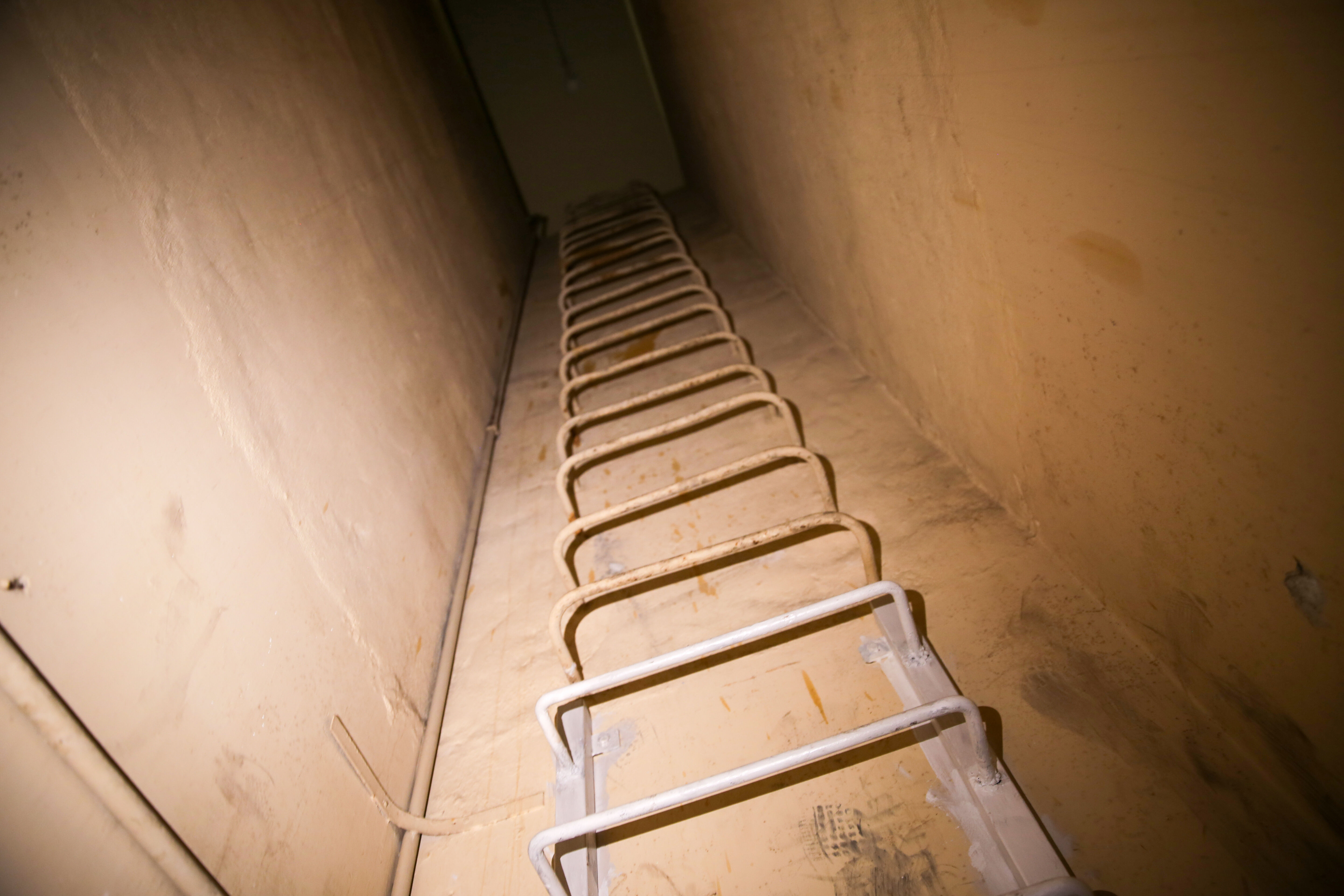 Suriyeliler rejimin zulmü altında ezilirken Beşşar Esed Şam'daki konutunda lüks içinde yaşıyordu - 4. Resim