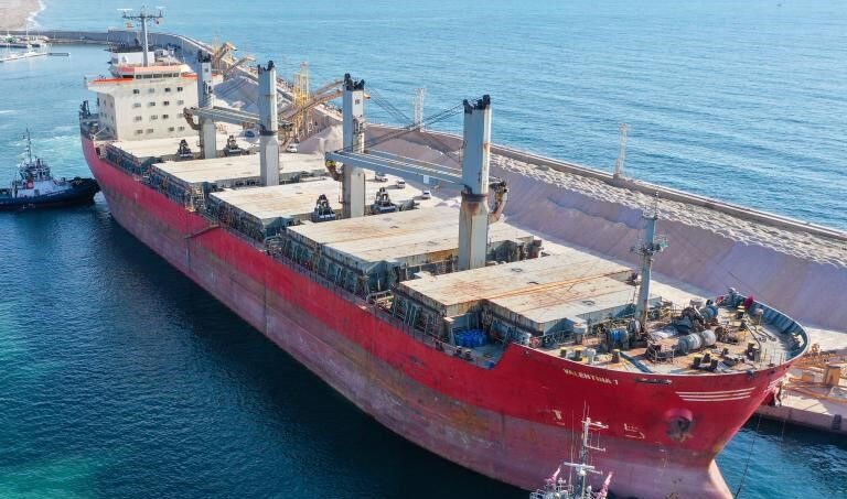 Türk mühendis gemide kayboldu: Doğukan Demirtaş 14 gündür sırra kadem bastı - 4. Resim