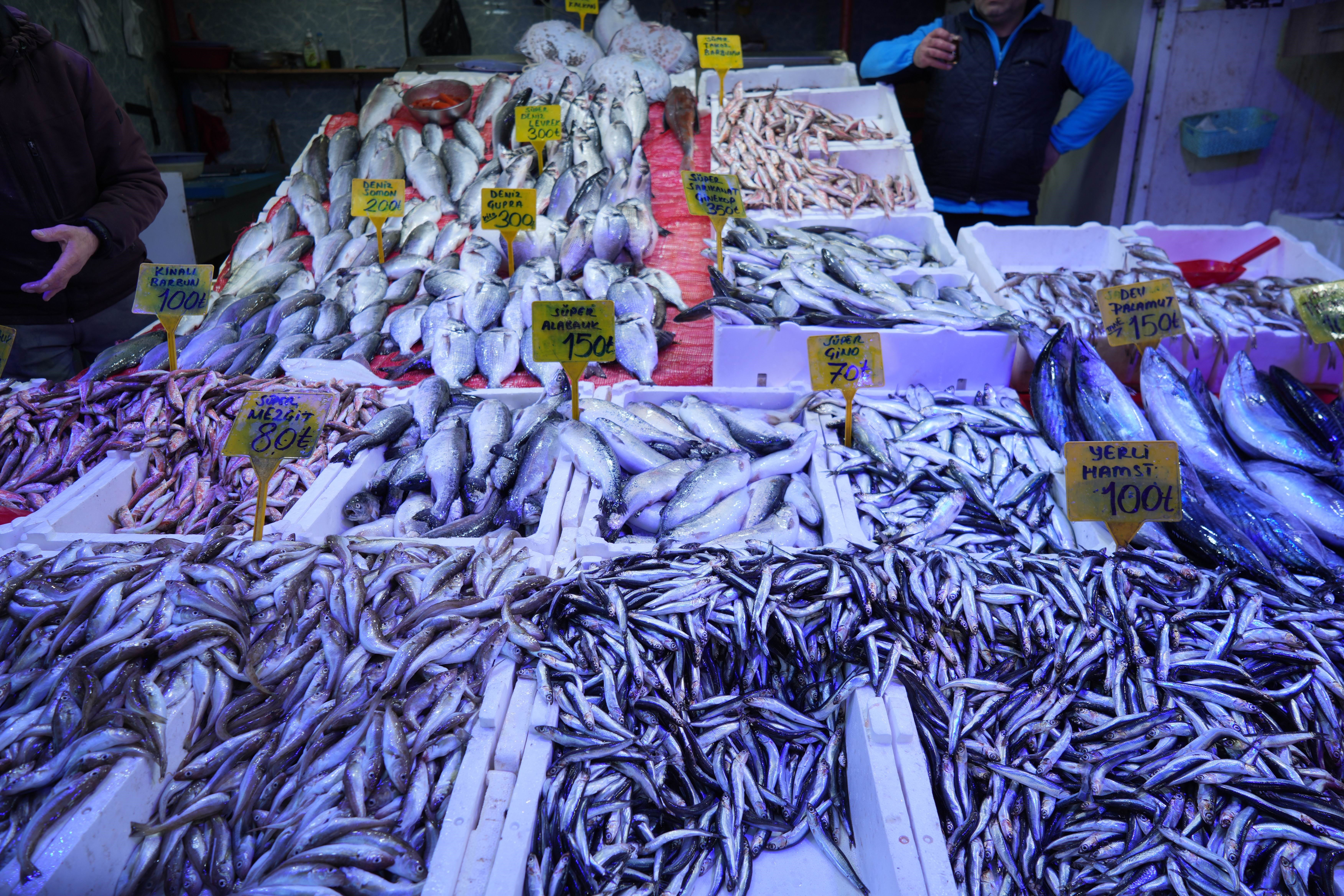 2024'te 200 liraya satılan hamsinin 2025 fiyatı görenleri hayrete düşürdü! Kapış kapış satılıyor 2024'te 200 liraya satılan hamsinin 2025 fiyatı görenleri hayrete düşürdü! Kapış kapış satılıyor - 1. Resim