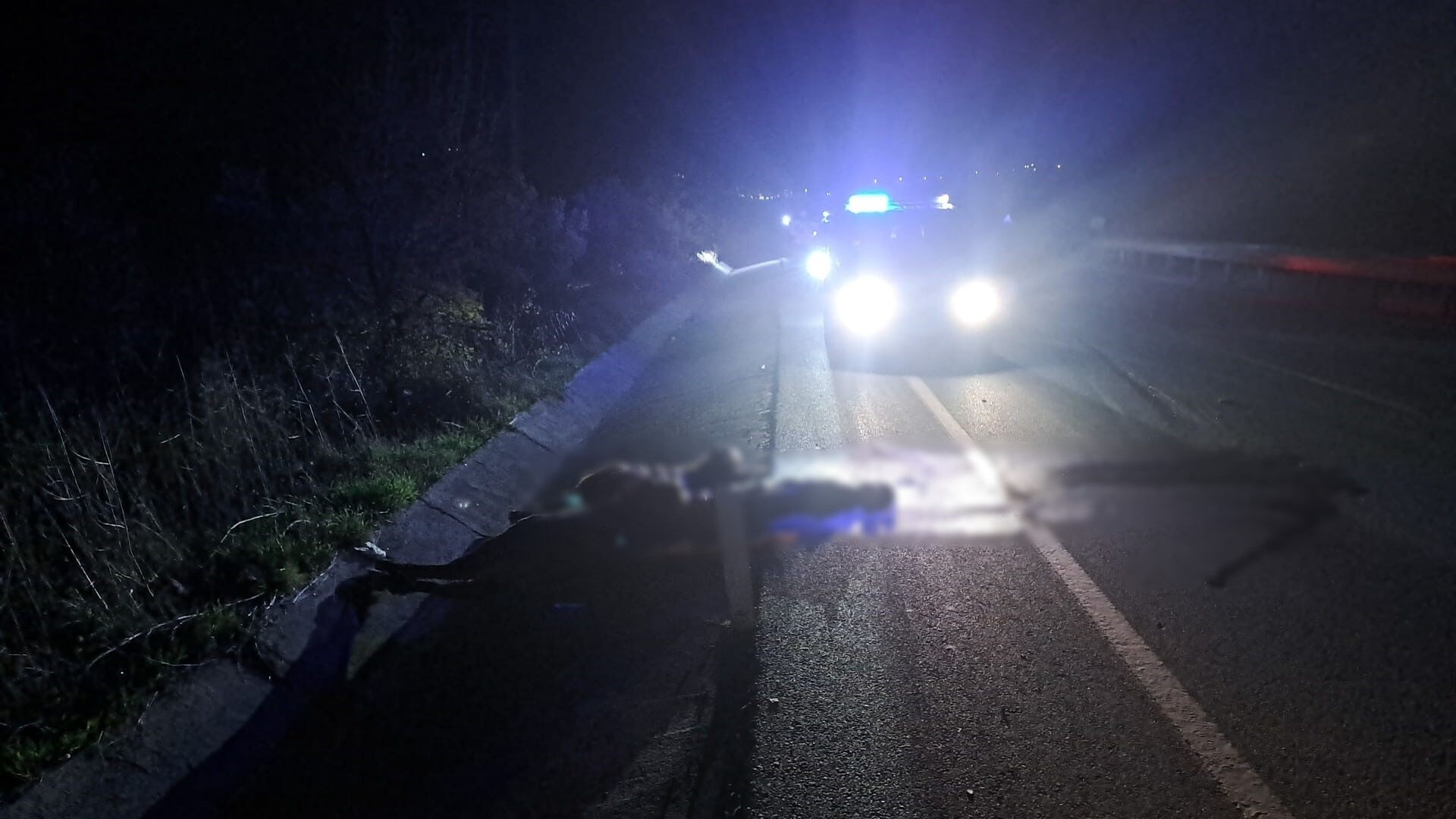 Aydın'da feci kaza! Ata çarpan motosiklet sürücüsü hayatını kaybetti - 2. Resim