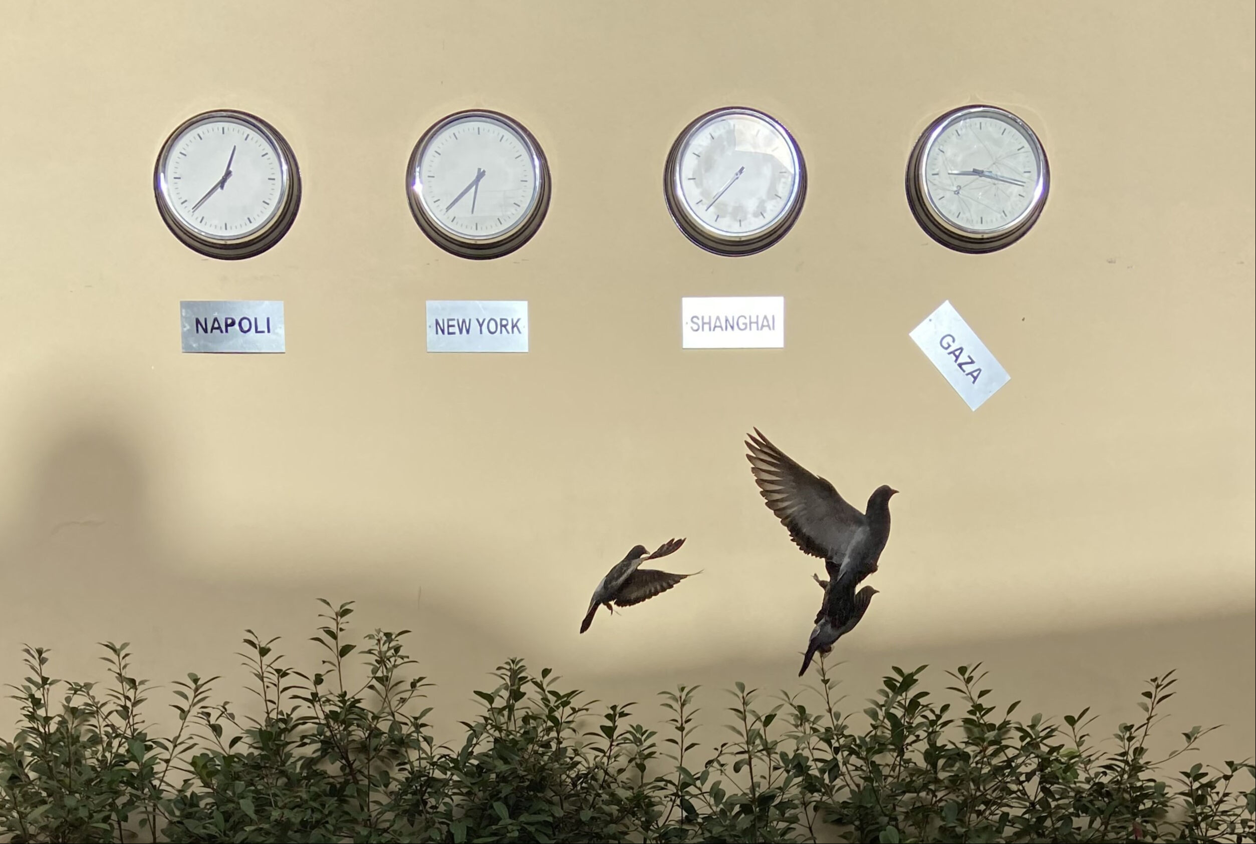 İtalyan sanatçı Eduardo Castaldo, sorularımızı cevapladı: Filistin’de yaşananlar Batı’nın barbarlığını gösterdi - 2. Resim