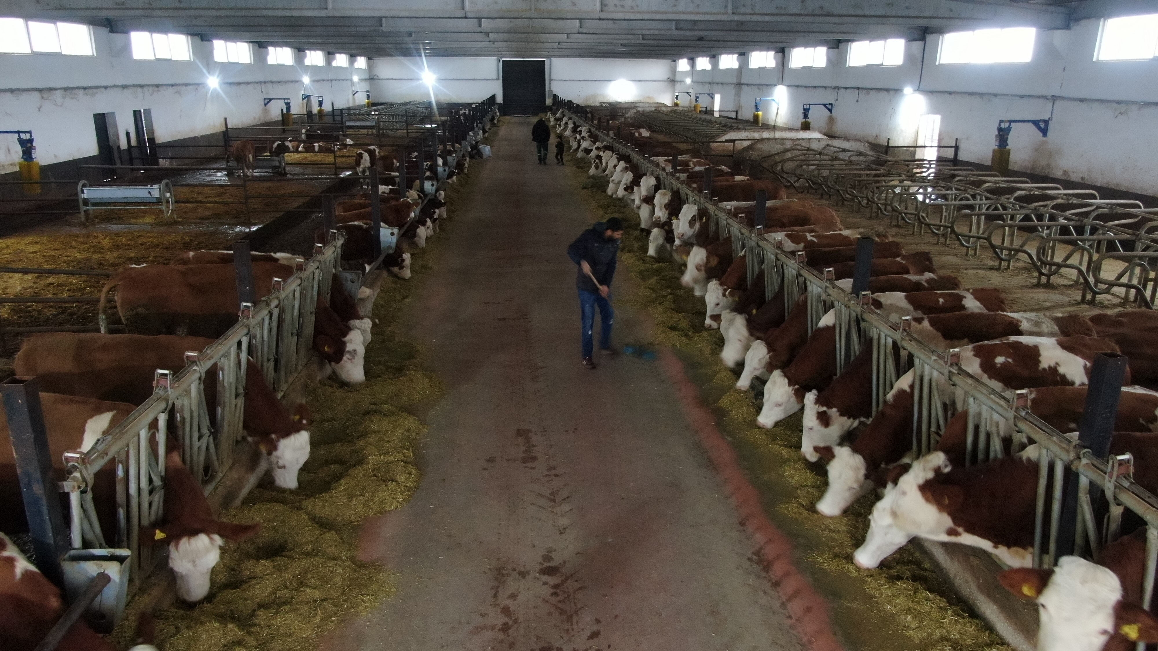 Avrupa'dan memleketine döndü! Devletten 3 milyon lira hibe aldı, 4,5 milyon liralık fabrika açtı - 2. Resim