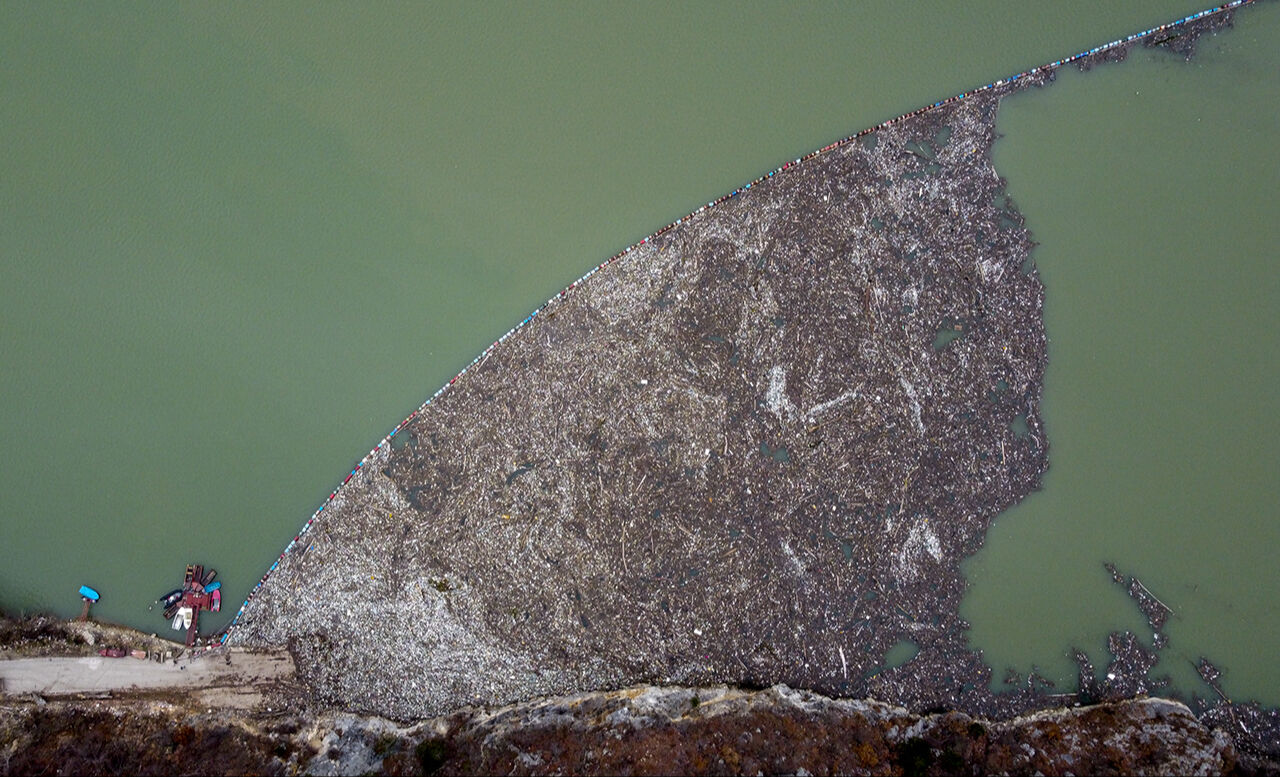 Bu anlar tarihe geçti! Yılın Kareleri seçmelerinde 2024'ün dikkat çeken fotoğrafları - 2. Resim