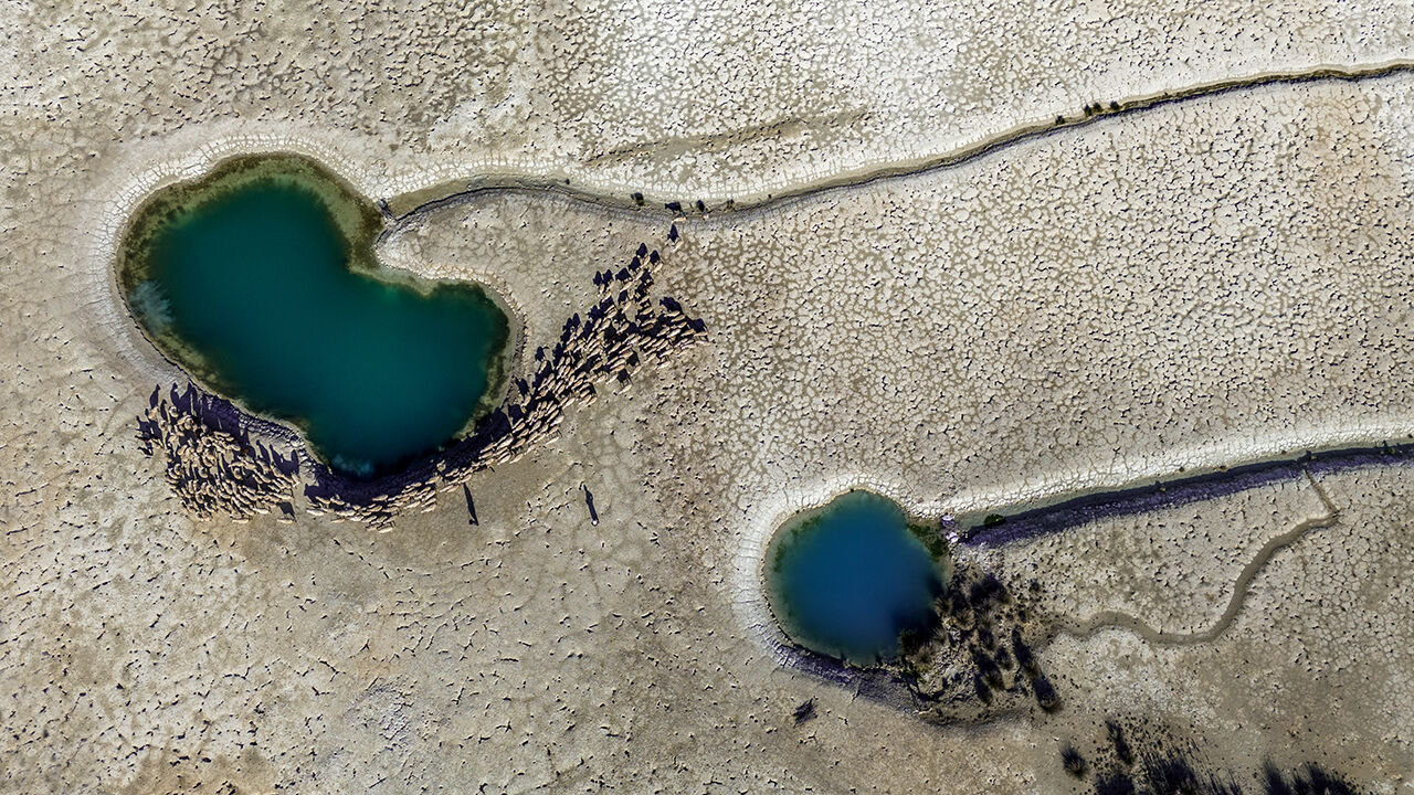 Bu anlar tarihe geçti! Yılın Kareleri seçmelerinde 2024'ün dikkat çeken fotoğrafları - 5. Resim