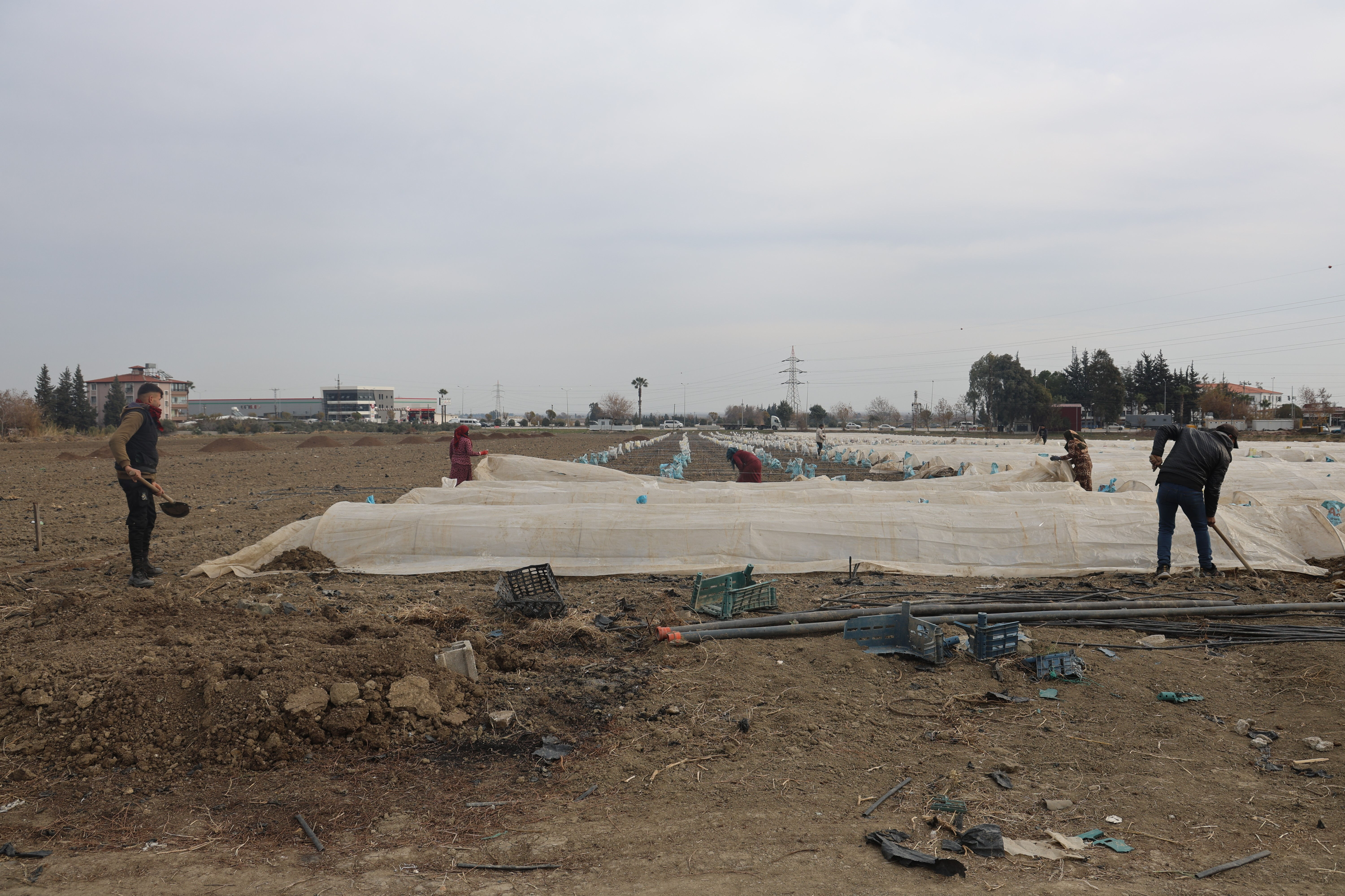 Depremzede çiftçi 20 dönüm tarlaya yaptı! 3 ay sonra kilosunu 50 TL'den satacak - 1. Resim