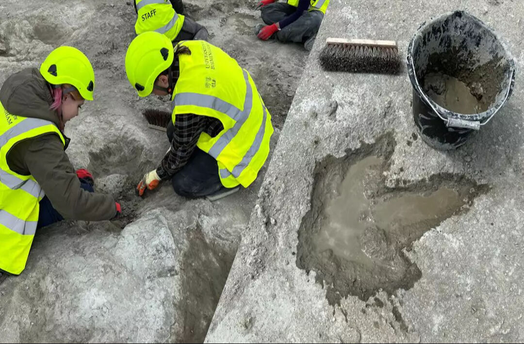 Dinazor ayak izleri 166 milyon yıl sonra gün yüzüne çıktı! İngiltere'den büyük keşif - 1. Resim