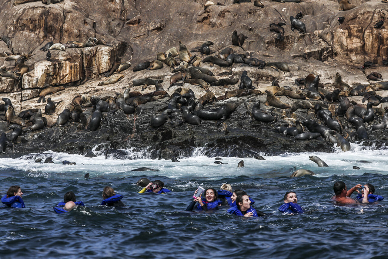 İzmir Körfezi yarışmada! Yılın Kareleri seçmelerinde 2024'ün dikkat çeken çevre fotoğrafları - 13. Resim