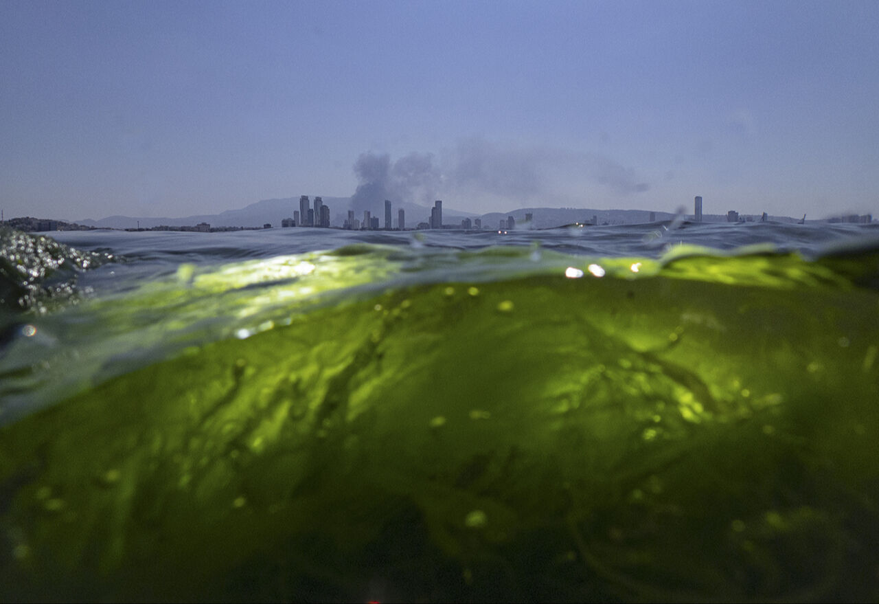 İzmir Körfezi yarışmada! Yılın Kareleri seçmelerinde 2024'ün dikkat çeken çevre fotoğrafları - 19. Resim