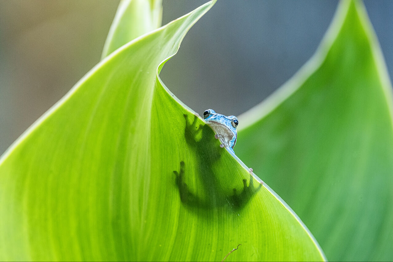 İzmir Körfezi yarışmada! Yılın Kareleri seçmelerinde 2024'ün dikkat çeken çevre fotoğrafları - 15. Resim