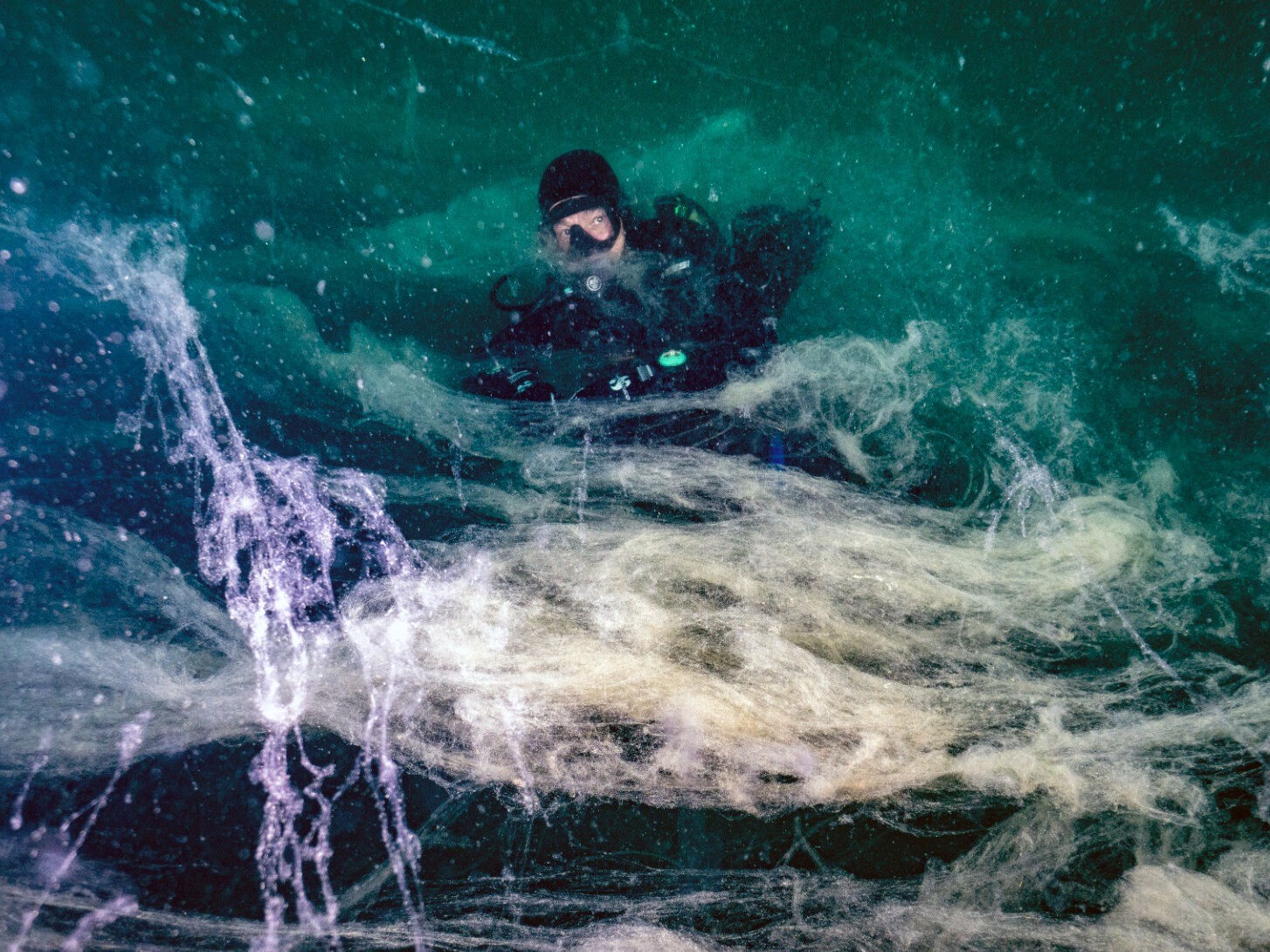 Marmara'nın kabusu Ege'ye sıçradı! 7 haftada büyüdükçe büyüdü - 2. Resim