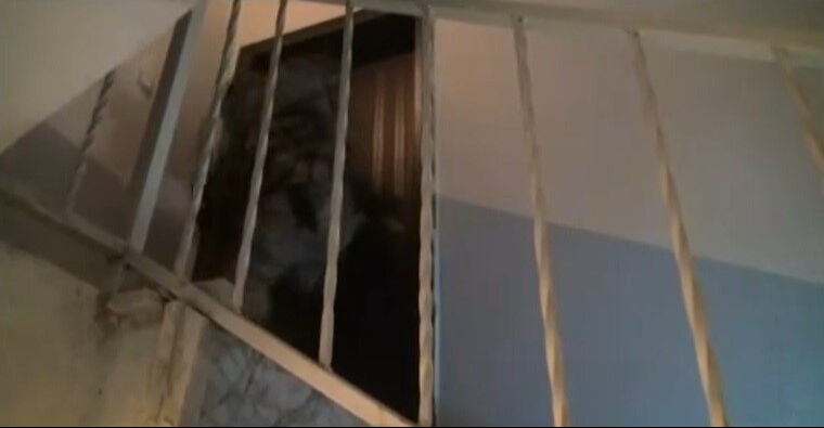 Polis, İzmir'de PKK şüphelisinin evine koçbaşı ile girdi - 3. Resim