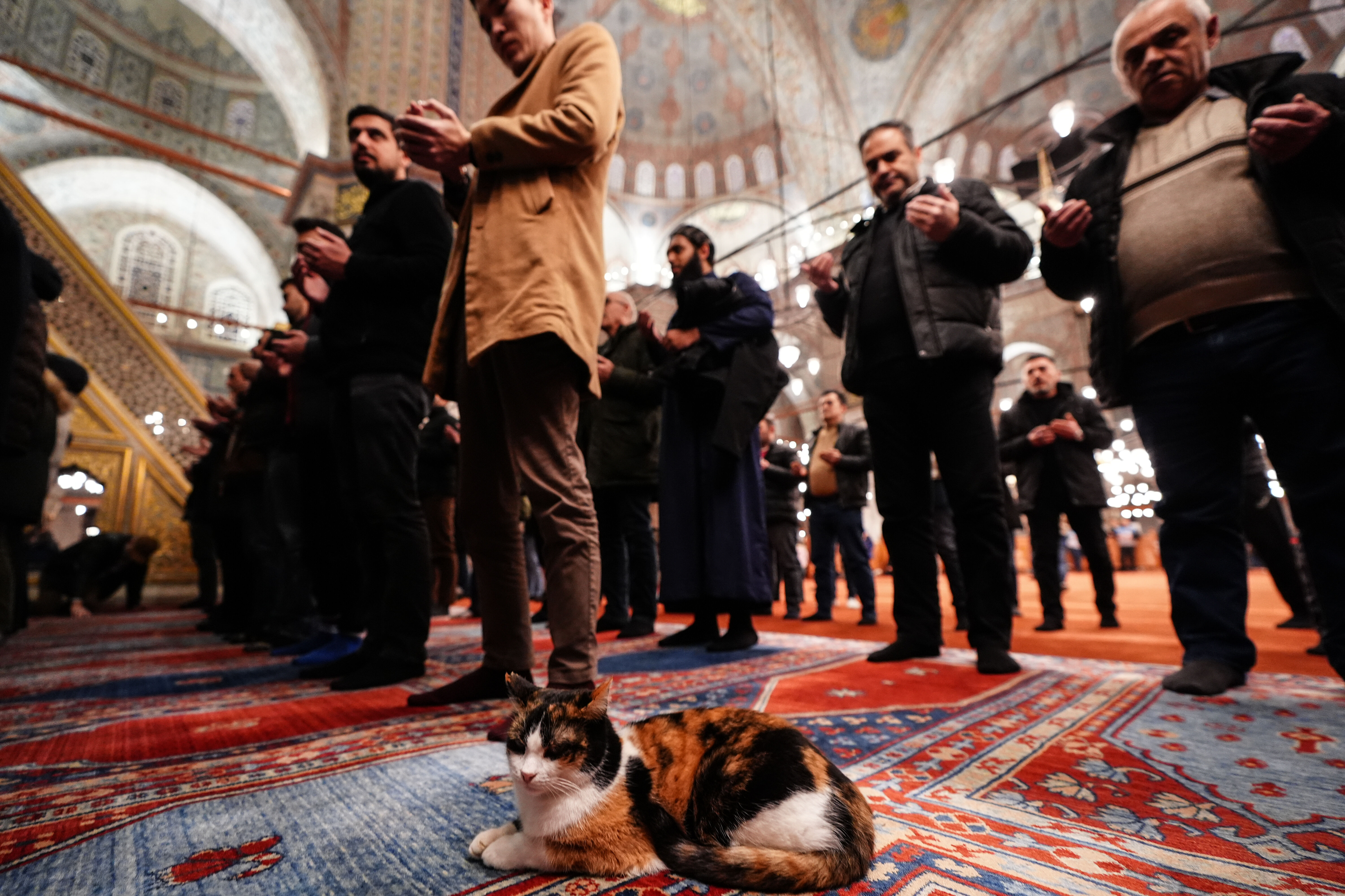 Üç ayların başlangıç simgesi olan Regaib Kandili Türkiye'de idrak edildi - 2. Resim