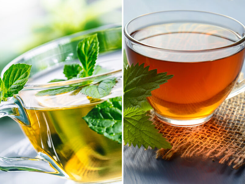 Gazla başa çıkmanın yolu! Bu çayı için mideniz ve bağırsaklarınız rahat etsin... - 3. Resim