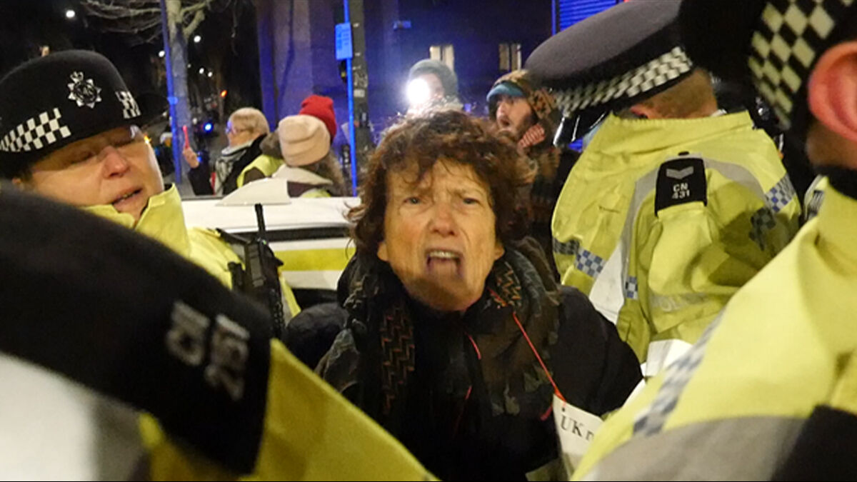 Alman polisi işgal rejimini protesto edenlere saldırdı - 2. Resim