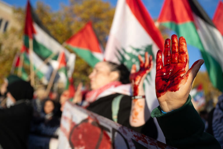 Alman polisi işgal rejimini protesto edenlere saldırdı - 1. Resim