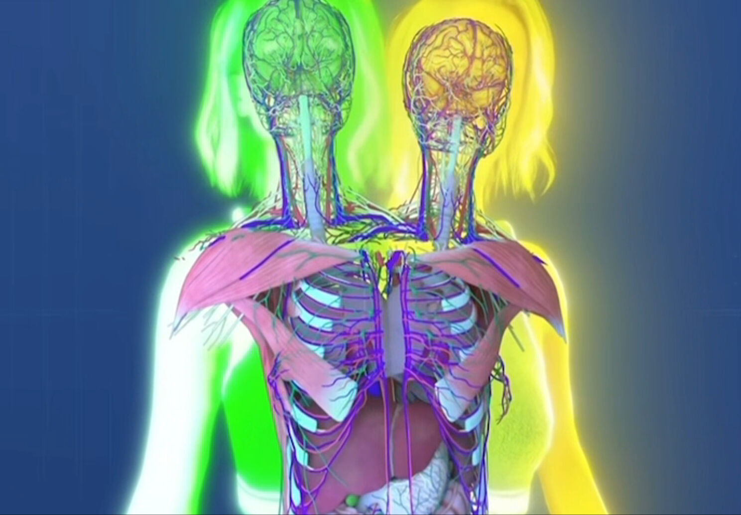 Dünyanın en meşhur yapışık ikizleri vücut yapılarını sonunda paylaştı! Abby ve Brittany Hensel görenleri şaşkına çevirdi - 3. Resim