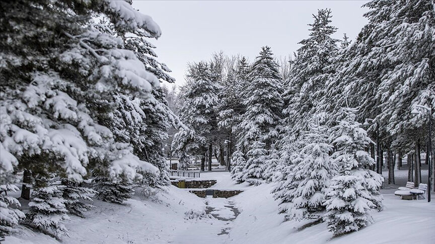 Erzurum'da yarın okullar tatil mi? Valilik açıklaması takip ediliyor - 3. Resim