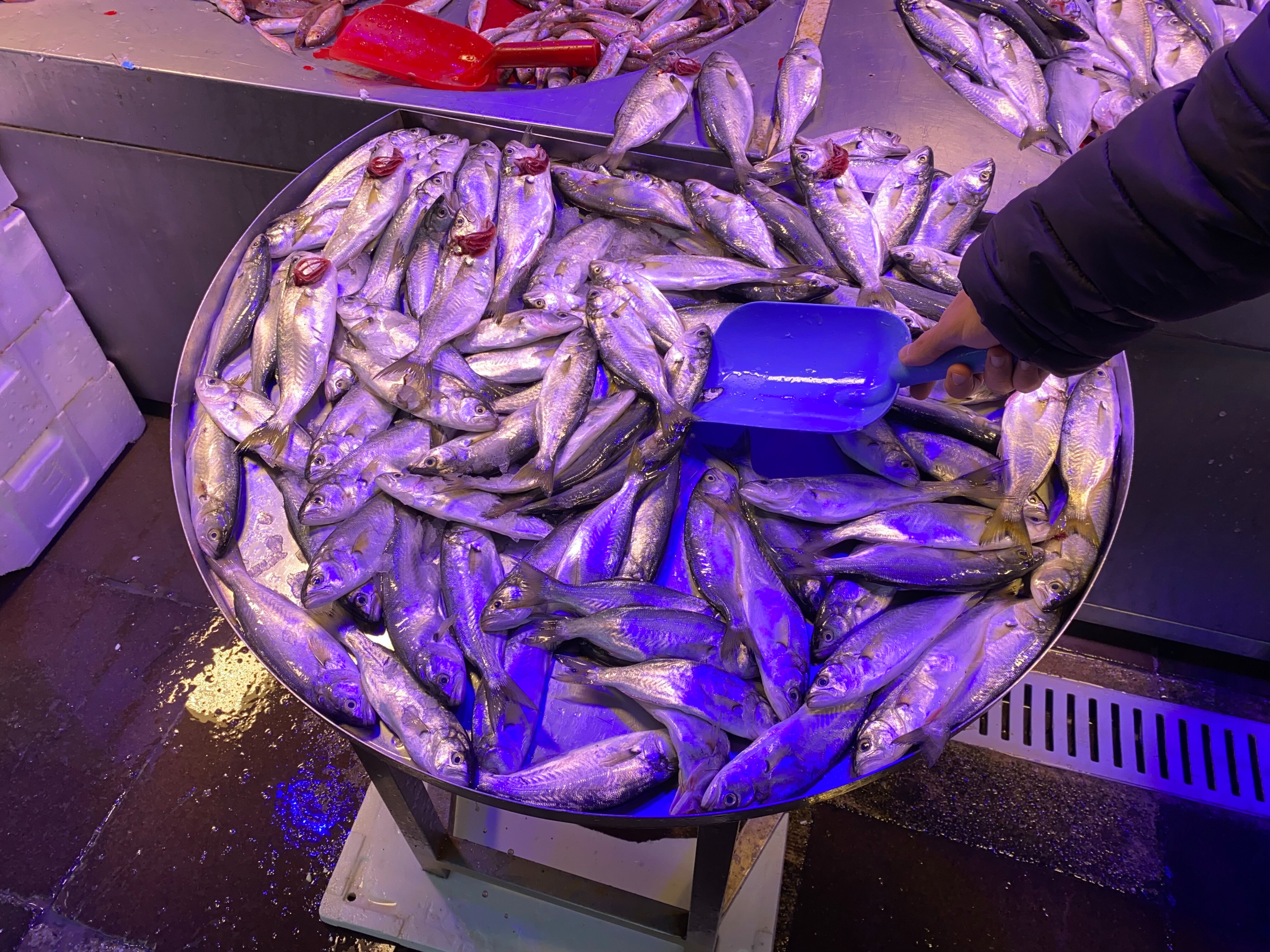 Tezgahtaki fiyatlar düşüyor: Normal fiyatı 500 TL, şimdi ise... Tezgahtaki fiyatlar düşüyor, vatandaş kapış kapış alıyor! Normal fiyatı 500 TL, şimdi ise... - 1. Resim