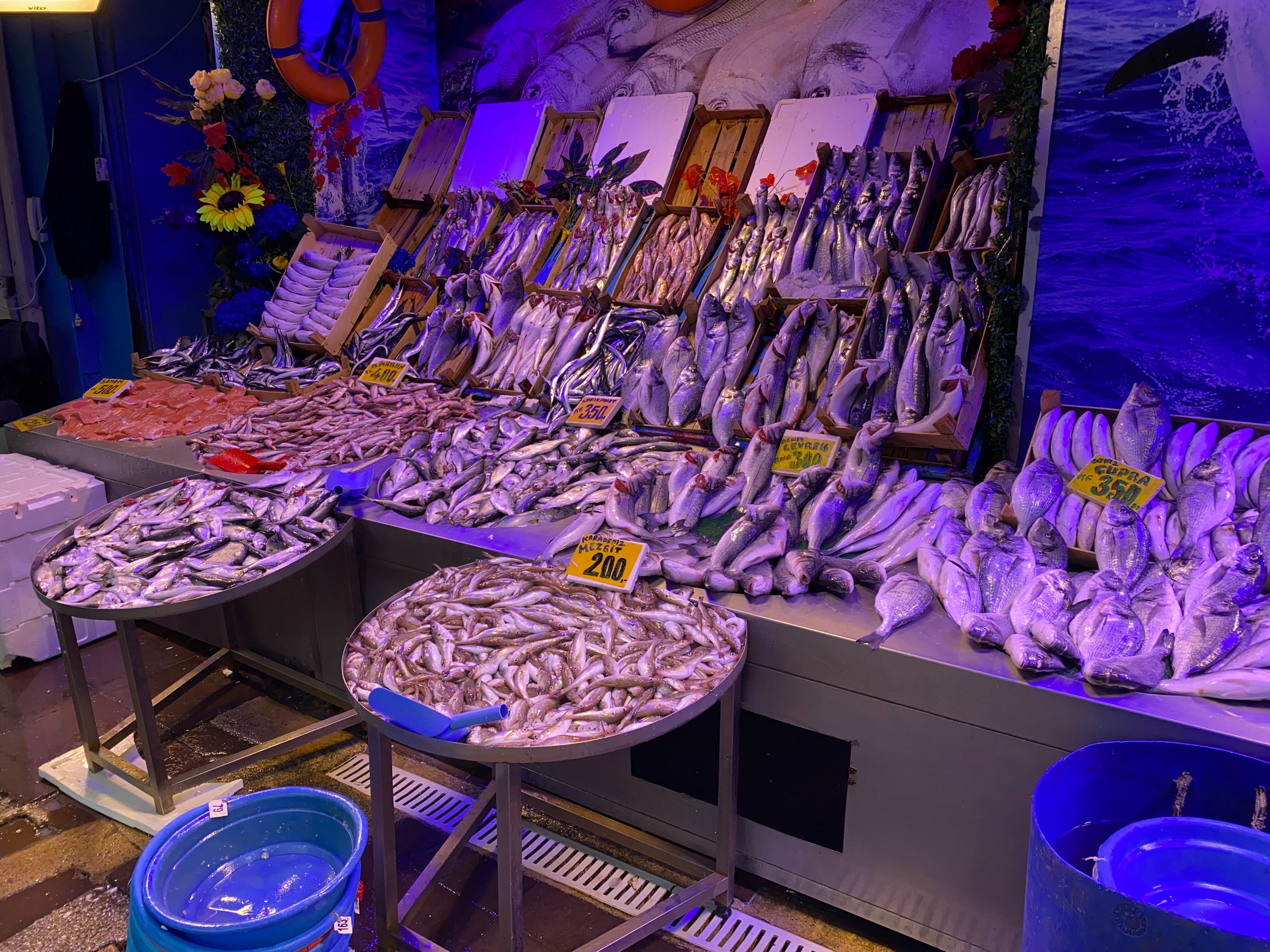 Tezgahtaki fiyatlar düşüyor: Normal fiyatı 500 TL, şimdi ise... Tezgahtaki fiyatlar düşüyor, vatandaş kapış kapış alıyor! Normal fiyatı 500 TL, şimdi ise... - 2. Resim