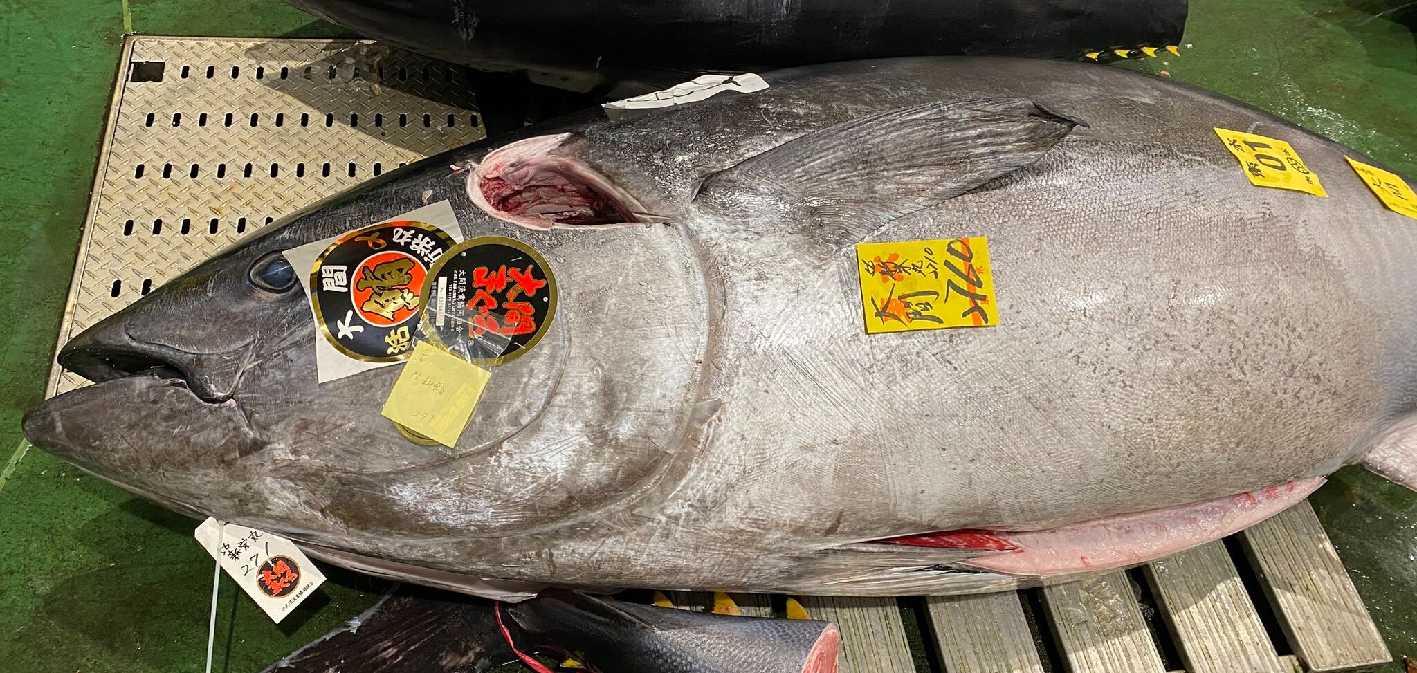 Yeni yıl mezatında 'mavi yüzgeçli orkinos'a rekor fiyat - 1. Resim