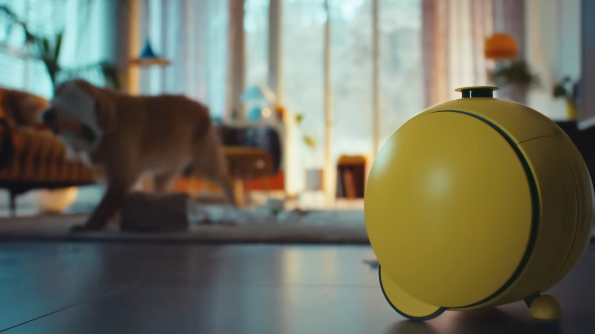 2020 yılında tanıtılmıştı! Samsung, Ballie'nin çıkış tarihini duyurdu - 2. Resim