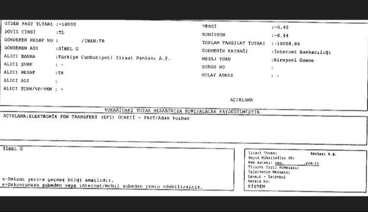 'Adak' tuzağına düşen iş kadının başına gelenler pes dedirtti! Sanal 'büyücü' kabusu yaşattı - 5. Resim